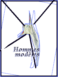 Hommes modèles