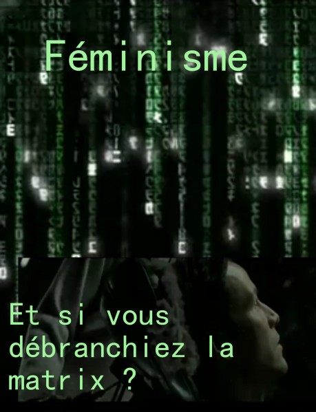 Les résultats truqués des violences faites aux femmes : du constaté au fantasmé (exemple pratique).