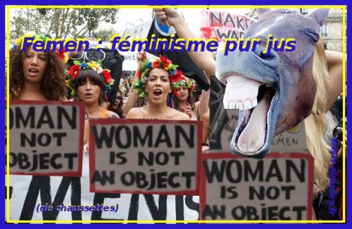 Femen : la France n’est pas la poubelle de l’Ukraine