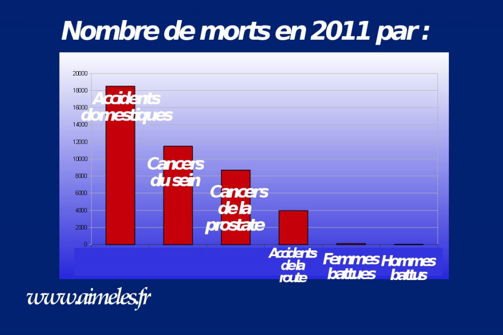 cause-mortalité-2011-France