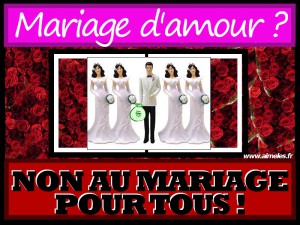 polygamie-mariage-pour-tous