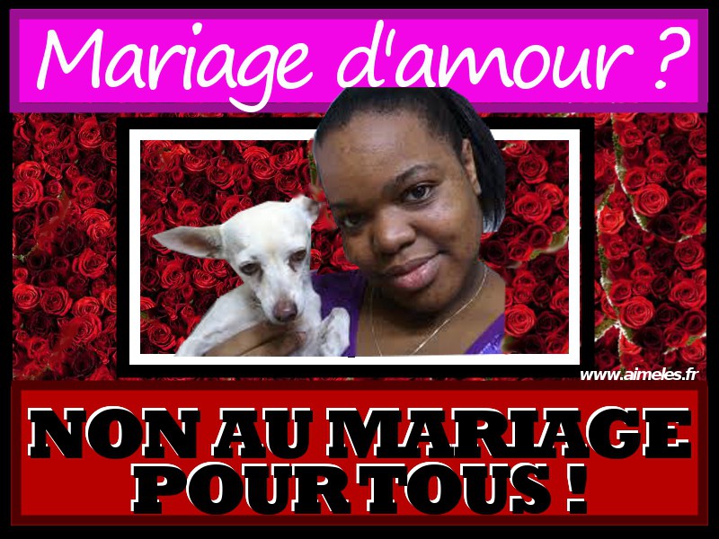 Unions de duos = mariage d’amour ?