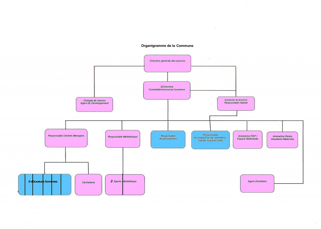 organigramme-CDC