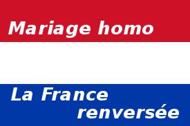 drapeau-neerlandais-France
