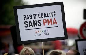 débat sur la PMA en 2014