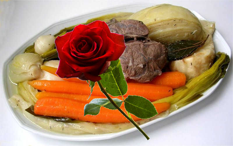 Le pot au feu et la rose